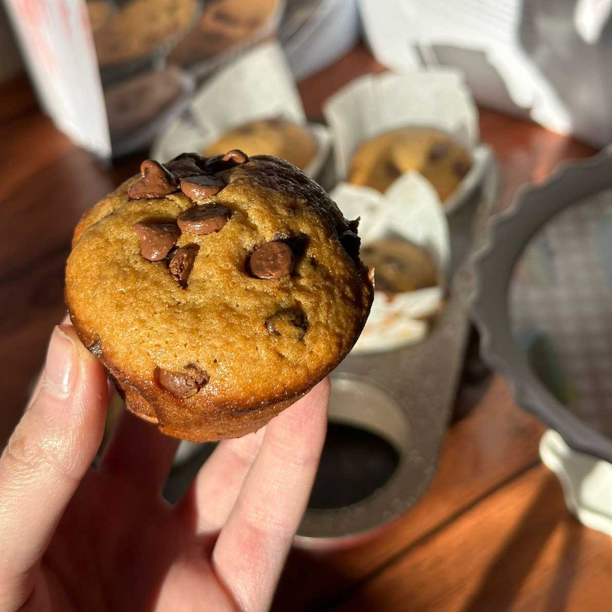 Chocolate Chip Muffins