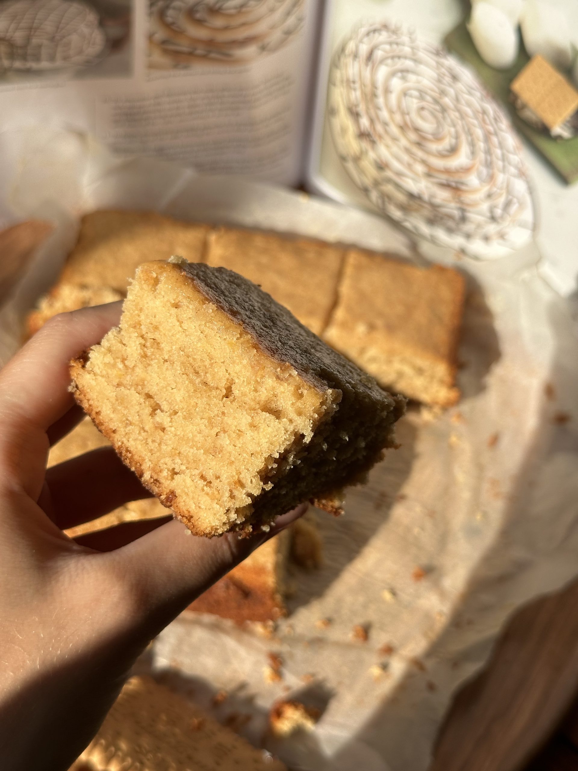 S’mores fluffy Cake